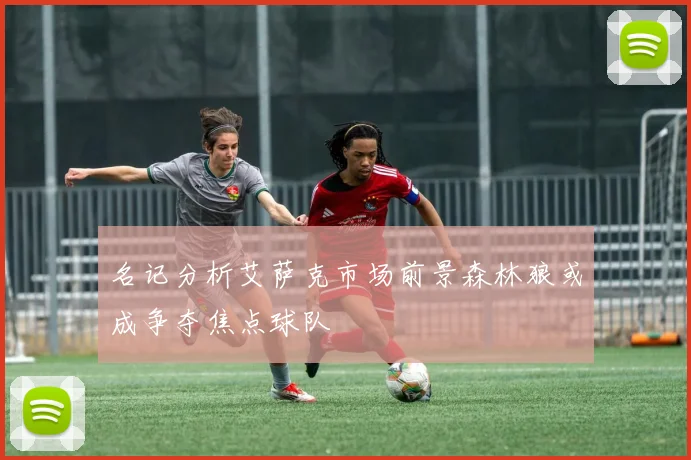 名记分析艾萨克市场前景森林狼或成争夺焦点球队